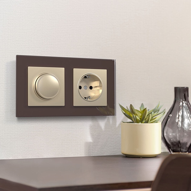 Розетка с заземлением Werkel шампань W1171011 4690389157363 Фото № 5