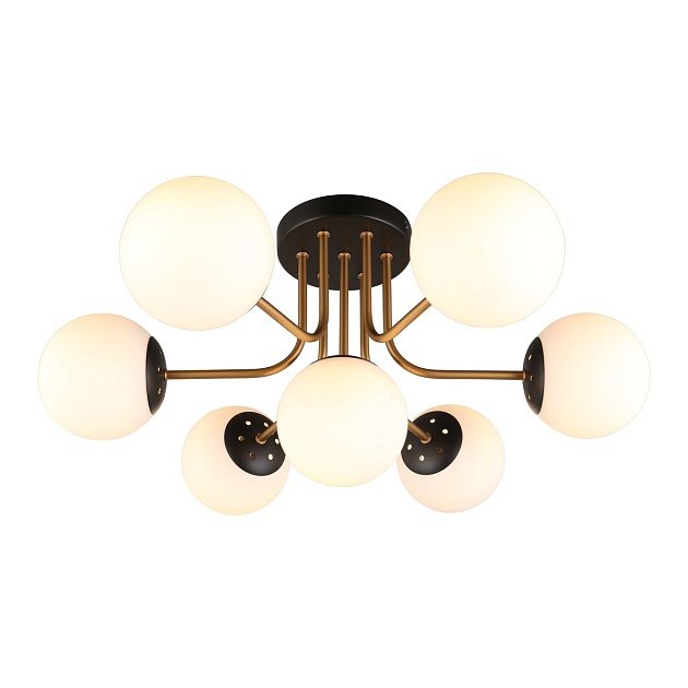 Потолочная люстра Aployt Ewka APL.906.17.07 Фото № 1