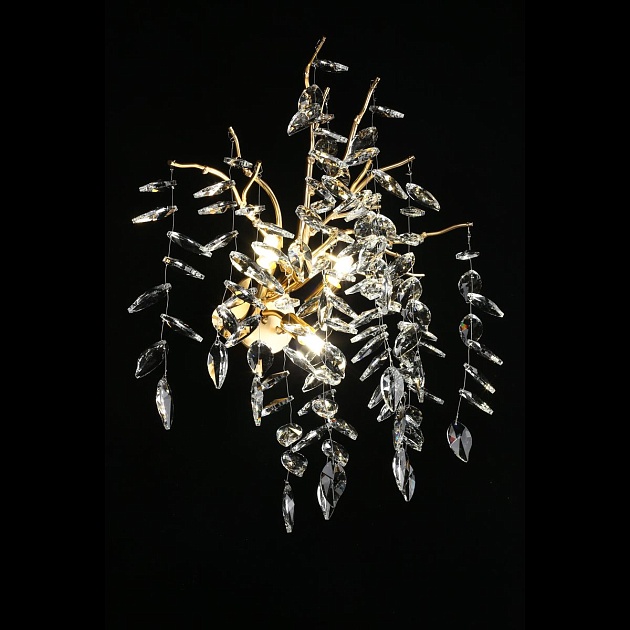 Настенный светильник Aployt Gertunia APL.847.01.03 Фото № 7