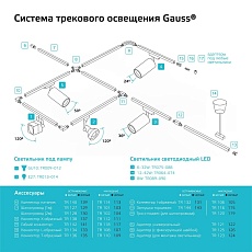 Трековый светодиодный светильник Gauss TR090 2