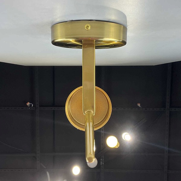 Бра Imperium Loft Delphy 151402-26 Фото № 8