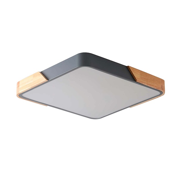 Потолочный светильник Zortes ALBERRO ZRS.01288.60 Фото № 1