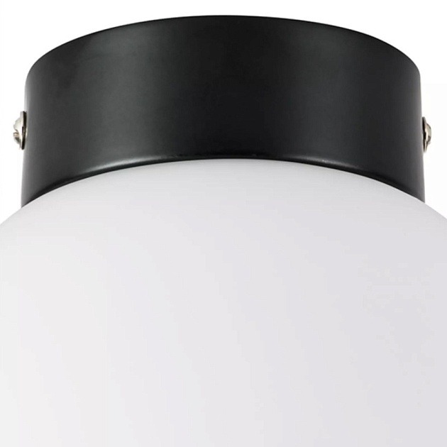 Настенно-потолочный светильник Lightstar Globo 812017 Фото № 2