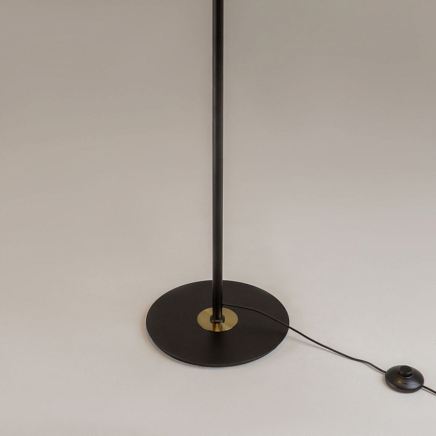 Торшер Maytoni MOD348FL-L24BBS3K Фото № 4