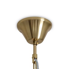 Подвесная люстра Freya Classic FR2038PL-06BS 1