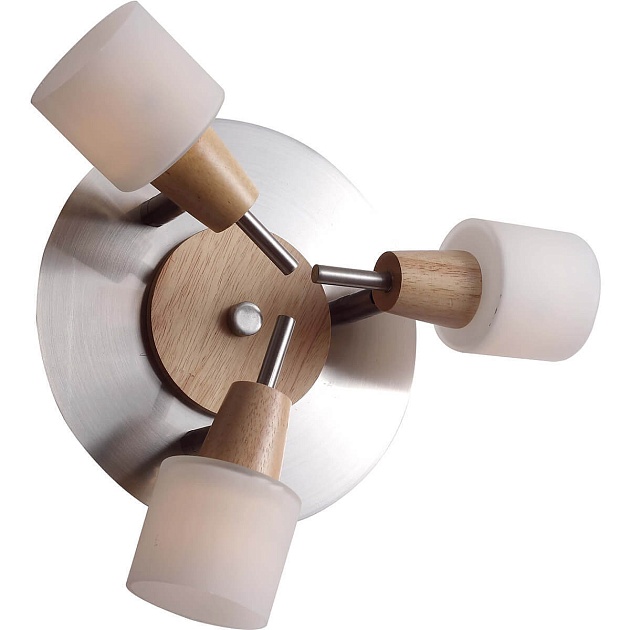 Спот Lucia Tucci Natura W091.3R Фото № 1