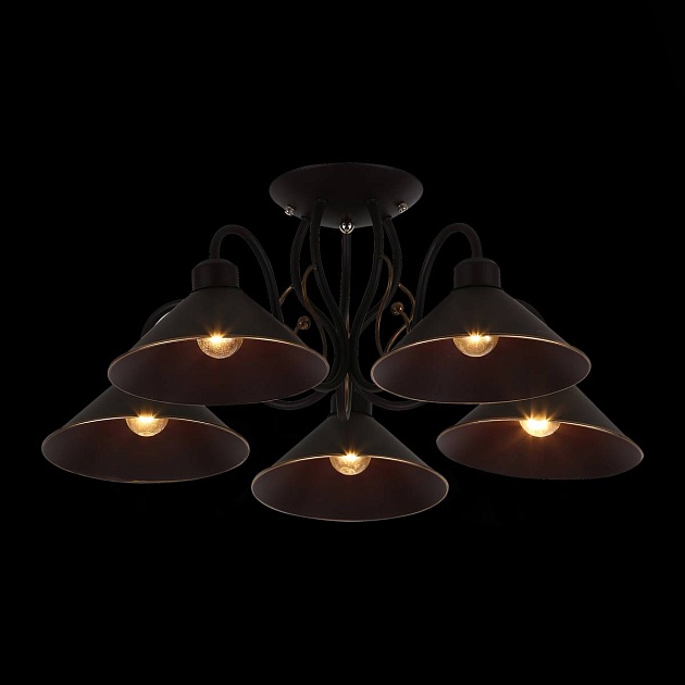 Потолочная люстра Evoluce Ciolla SLE120402-05 Фото № 2