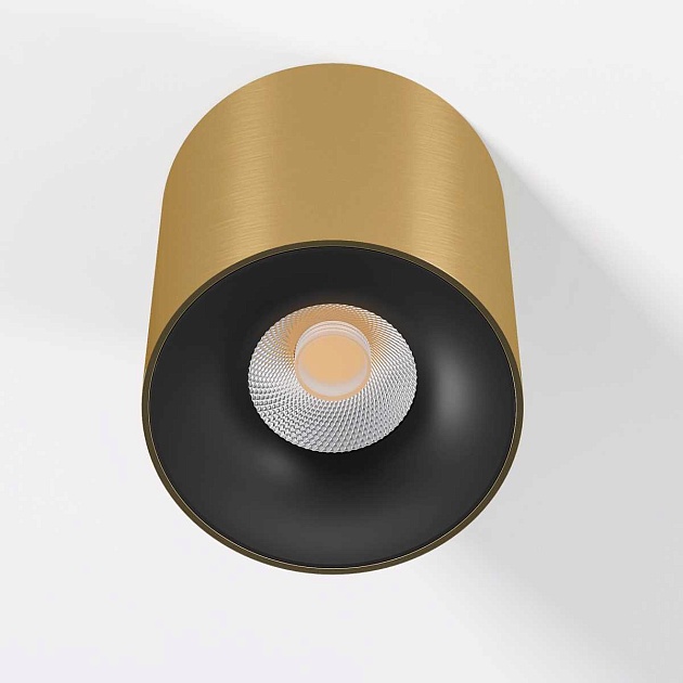 Потолочный светодиодный светильник Elektrostandard Primo 25116/LED a069413 Фото № 2