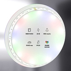 Светодиодная лента Maytoni Technical 14,4W/m 60LED/m 5050SMD RGB/холодный белый 5M 10178 1