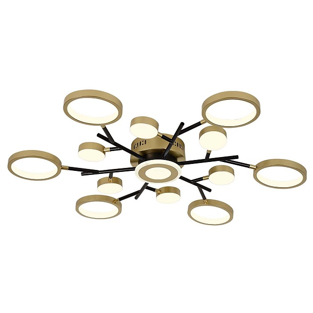Потолочный светодиодный светильник F-Promo Hybrid 4686-13C изображение 1 Потолочный светодиодный светильник F-Promo Hybrid 4686-13C Фото № 1