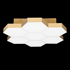 Потолочный светодиодный светильник Lightstar Favo 750071 1