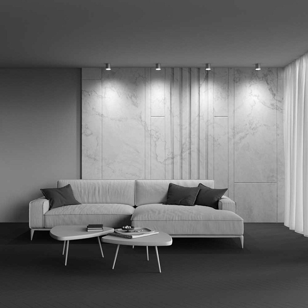 Потолочный светильник Maytoni Technical Polar C088CL-GX53-S Фото № 2