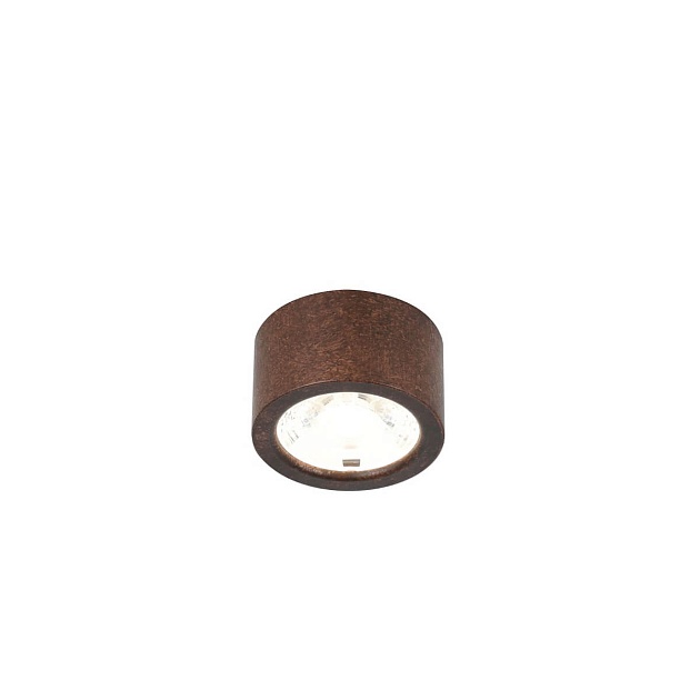 Потолочный светодиодный светильник Favourite Deorsum 2809-1U Фото № 1