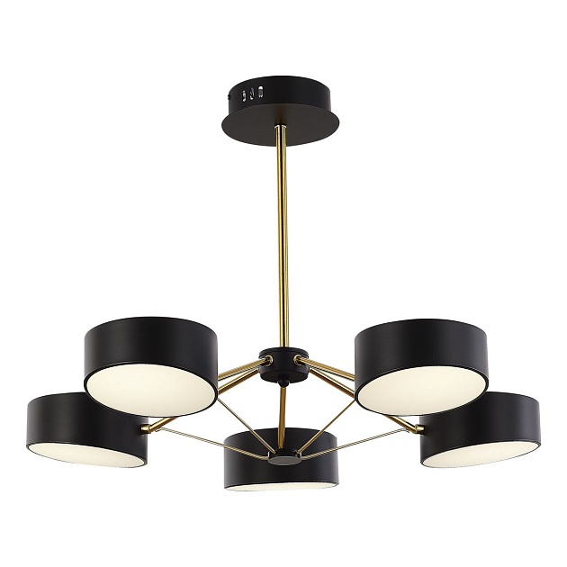 Потолочная светодиодная люстра Evoluce Valle SLE6005-402-05 изображение 3 Потолочная светодиодная люстра Evoluce Valle SLE6005-402-05 Фото № 3