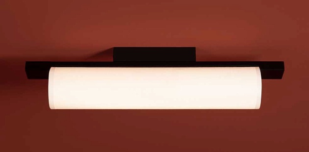 Потолочный светильник Freya Modern Even FR5625CL-L20B Фото № 4