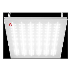 Потолочный светильник WOLTA STD ДВО12-54-042-6К