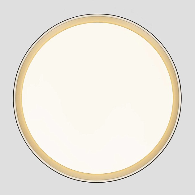 Потолочный светодиодный светильник Citilux Boss CL751451G Фото № 16