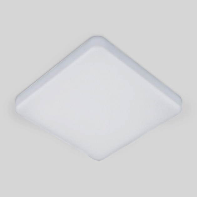 Потолочный светодиодный светильник Elektrostandard DLS043 10W 4200K a047941 Фото № 2