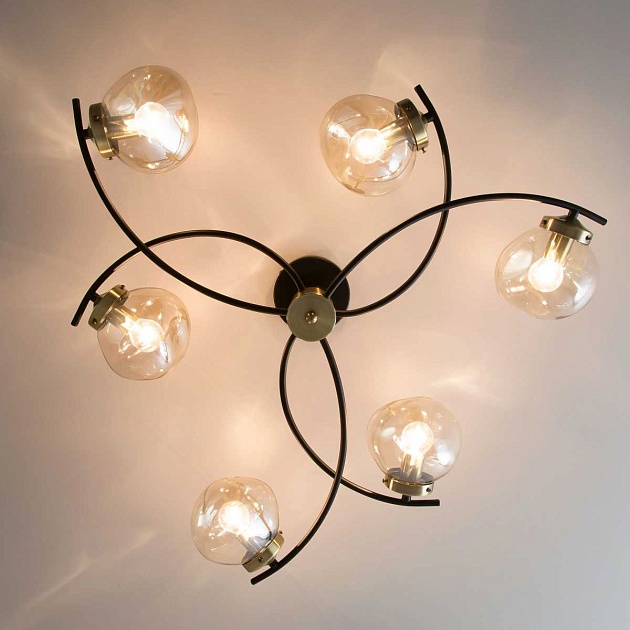 Потолочная люстра Citilux Фабула CL110165 Фото № 12