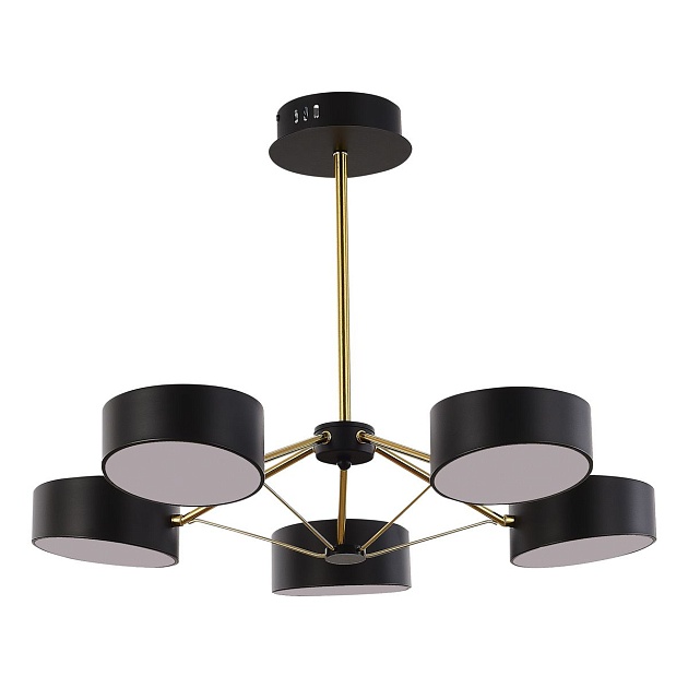 Потолочная светодиодная люстра Evoluce Valle SLE6005-402-05 изображение 1 Потолочная светодиодная люстра Evoluce Valle SLE6005-402-05 Фото № 1