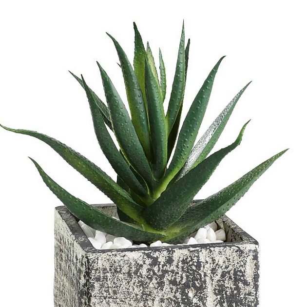 Искусственное растение Eglo CHITOSE 428008 изображение 4 Искусственное растение Eglo CHITOSE 428008 Фото № 4