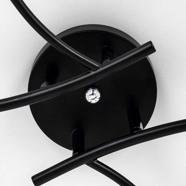 Потолочная люстра Citilux Флорида CL148165 Фото № 4