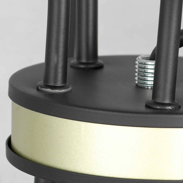 Подвесная люстра Lussole Lgo Roosevelt LSP-8198 Фото № 4