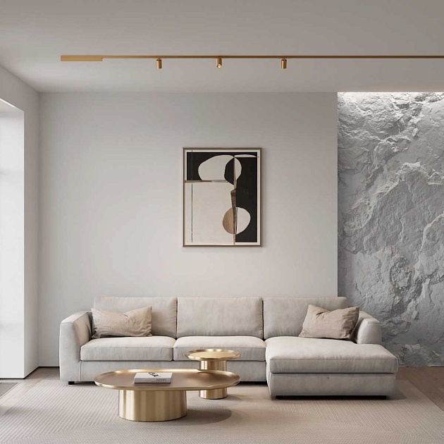 Трековый светильник Elektrostandard Brass Line a071846 Фото № 4