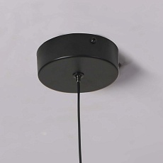 Подвесной светодиодный светильник Favourite Wilet 4656-1P 2