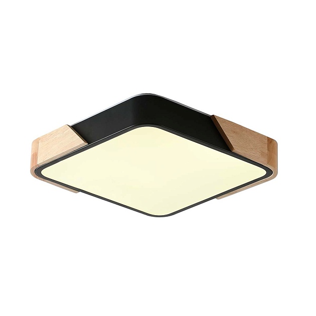 Потолочный светильник Zortes ALBERRO ZRS.01281.24 Фото № 1