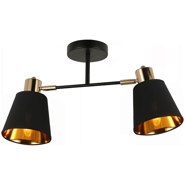 Спот Illumico IL6116-2COU-79 BK GD Фото № 1