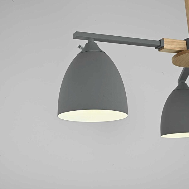 Потолочная люстра Imperium Loft Noa 101838-26 Фото № 6