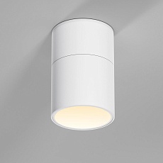 Потолочный светильник Elektrostandard 25112/LED a067486 3