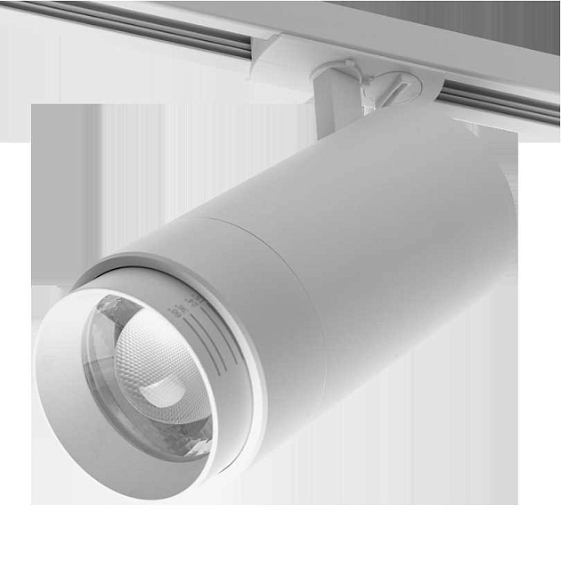 Трековый светодиодный светильник WOLTA WTL-45W/02W Фото № 1