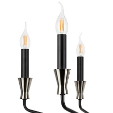 Подвесная люстра Lightstar Ragno 732167 3