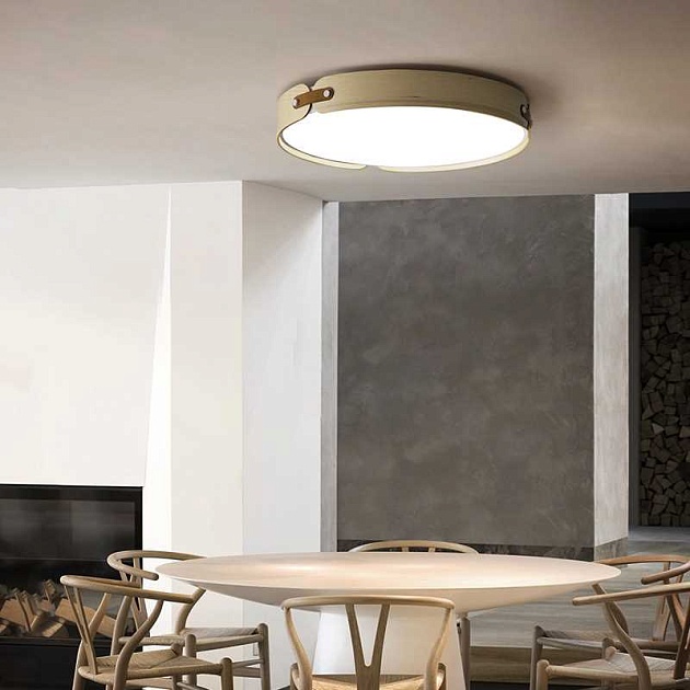 Потолочный светильник Imperium Loft Range 101959-26 изображение 3 Потолочный светильник Imperium Loft Range 101959-26 Фото № 3