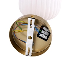 Бра Lumion ALEGRA 8334/1W 2