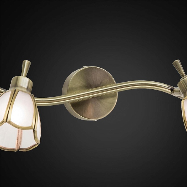 Спот Citilux Альтен CL522521 Фото № 2