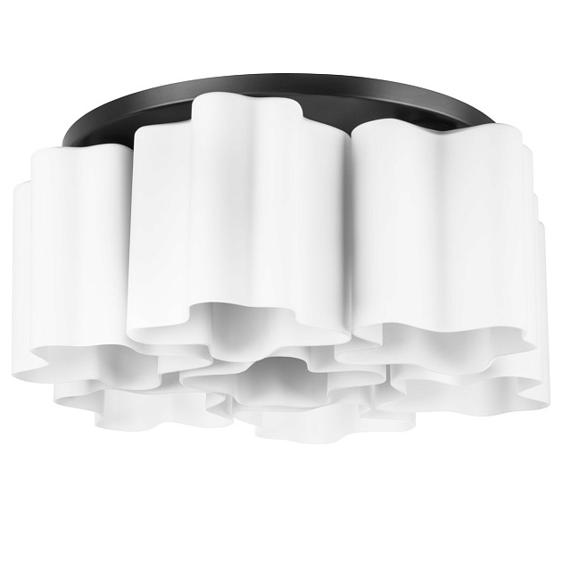 Потолочная люстра Lightstar Nubi 802077 Фото № 1